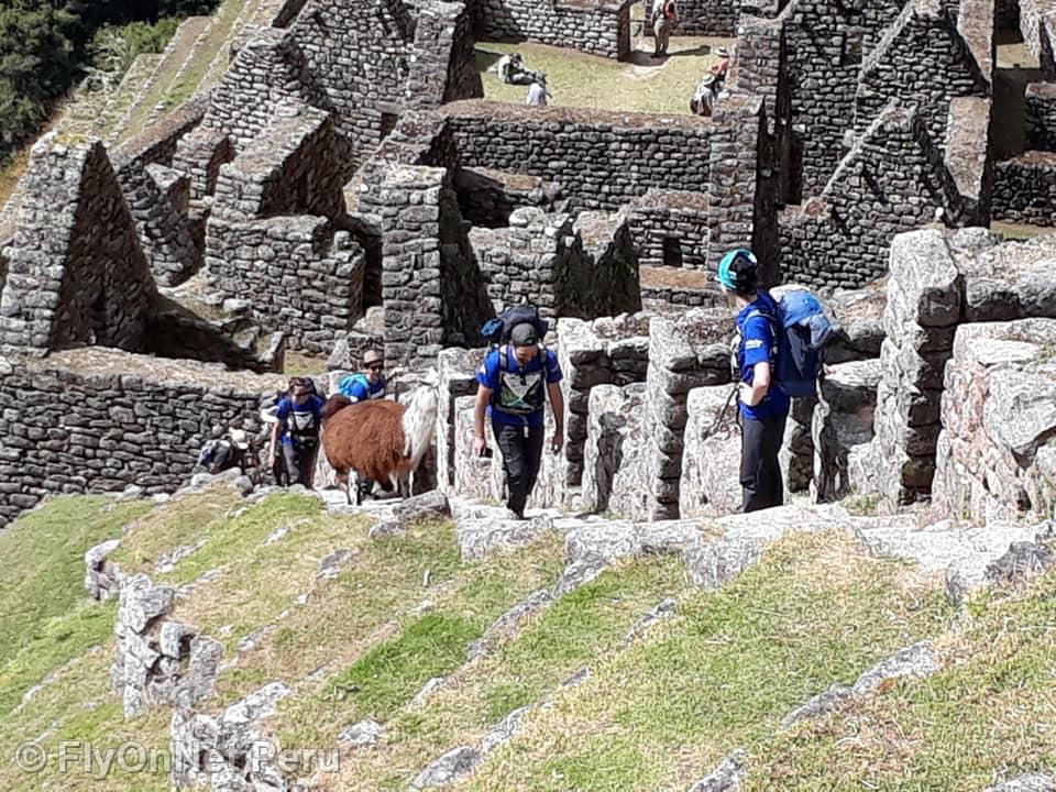 Álbum de fotos: Machu Picchu