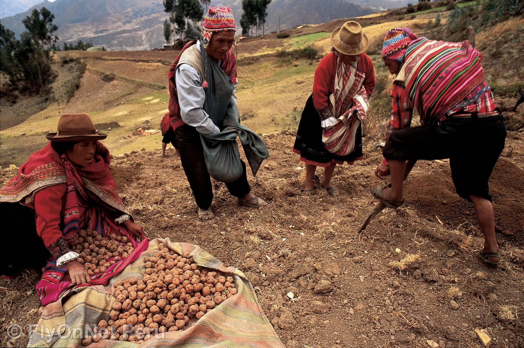 Álbum de fotos: Cuzco